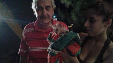Το χρονικό μιας σπάνιας και δύσκολης διάσωσης στο Χαϊδάρι 3