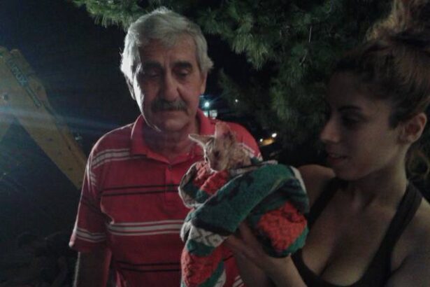 Το χρονικό μιας σπάνιας και δύσκολης διάσωσης στο Χαϊδάρι 43