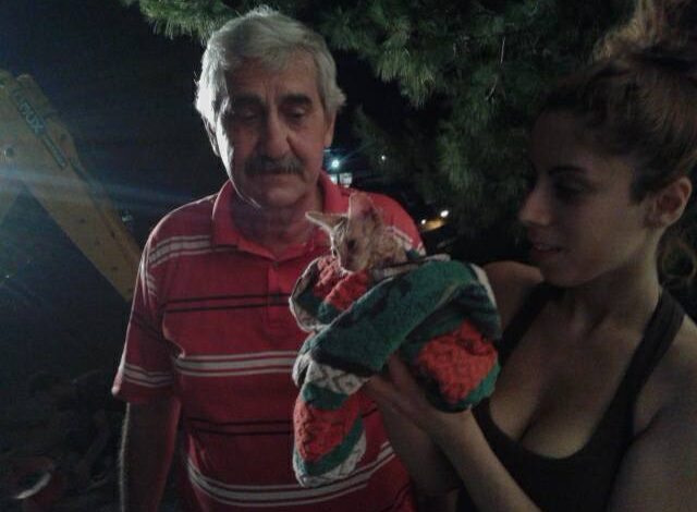 Το χρονικό μιας σπάνιας και δύσκολης διάσωσης στο Χαϊδάρι 2 Το χρονικό μιας σπάνιας και δύσκολης διάσωσης στο Χαϊδάρι 1