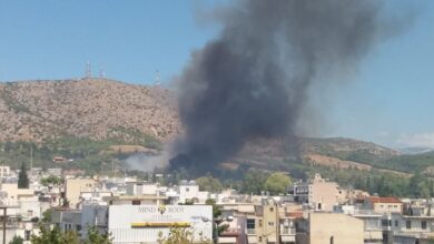 Πριν από λίγα λεπτά: Φωτιά στο Δάσος 5