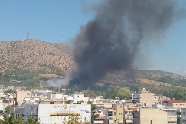 Πριν από λίγα λεπτά: Φωτιά στο Δάσος 11