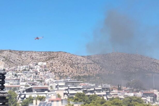 Σύλλογος Δάσους Χαϊδαρίου: Να προστατευθούν και να επεκταθούν τα δάση της περιοχής μας 13