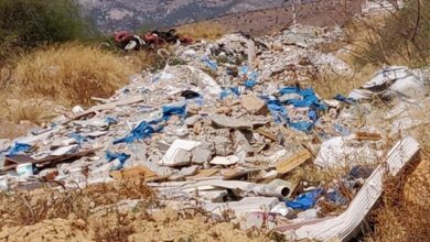Τα ξεφορτωθήκαμε, αλλά τα ξαναβρίσκουμε στη βόλτα μας 30