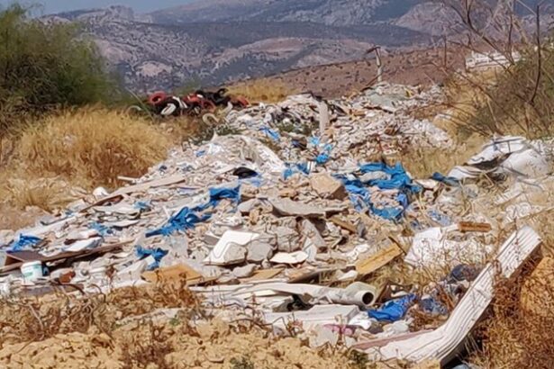 Τα ξεφορτωθήκαμε, αλλά τα ξαναβρίσκουμε στη βόλτα μας 17