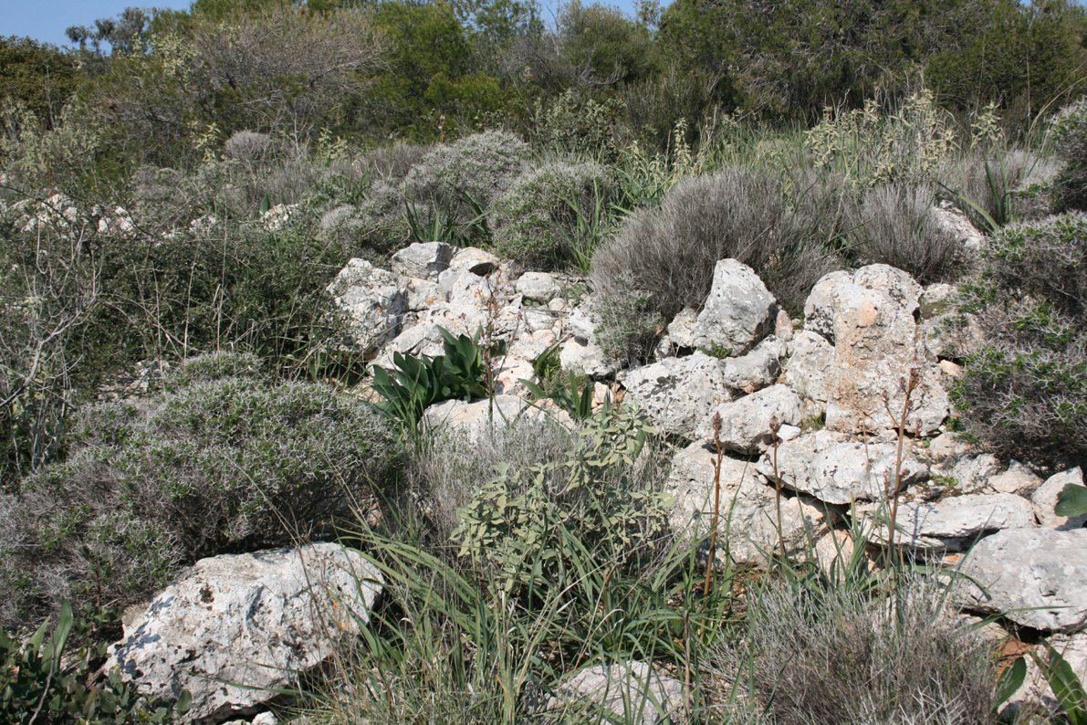 Πέθανε το όνειρο της Ιεράς Οδού; 8 Ιερά Οδός