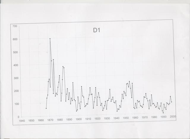 Ηλιαχτίδες στο αιωνόβιο δάσος μας 3