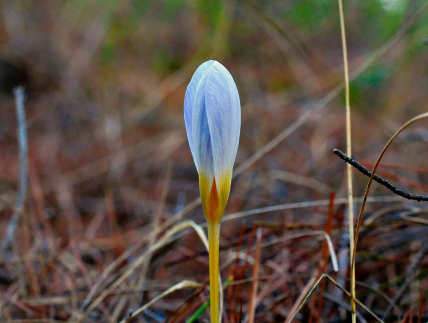 Νοέμβρης 2019, Ποικίλο - Τα έχω χάσει 1
