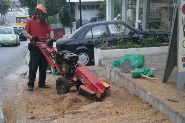 Απομάκρυνση κομμένων κούτσουρων από τα πεζοδρόμια 41