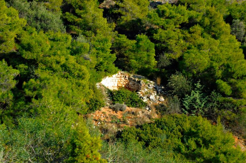 Η ιστορία της βλάστησης σε Αιγάλεω - Ποικίλο, είναι η ιστορία του ανθρώπου 1