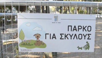 Με αφορμή τον άδικο θάνατο του καλού Μπαγάσα - Μια σημαντική ανακοίνωση 19