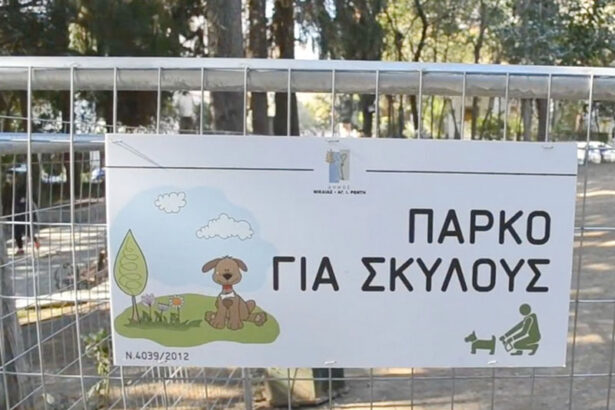 Με αφορμή τον άδικο θάνατο του καλού Μπαγάσα - Μια σημαντική ανακοίνωση 15