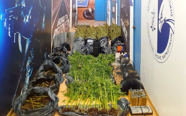 Υπερσύγχρονη καλλιέργεια κάνναβης σε υπόγειο διαμέρισμα στο Αιγάλεω - video 3