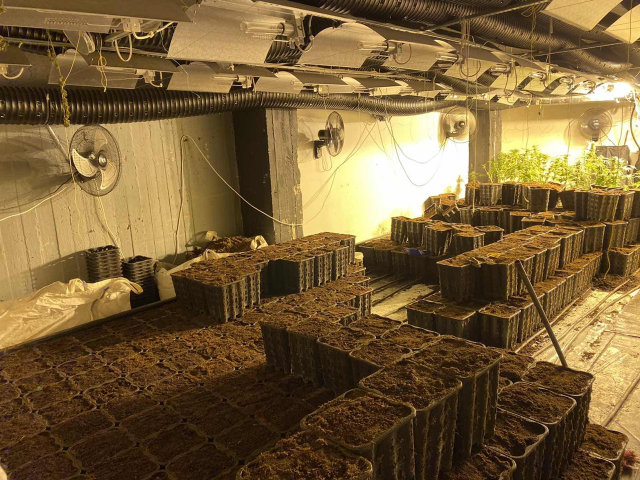 Υπερσύγχρονη καλλιέργεια κάνναβης σε υπόγειο διαμέρισμα στο Αιγάλεω - video