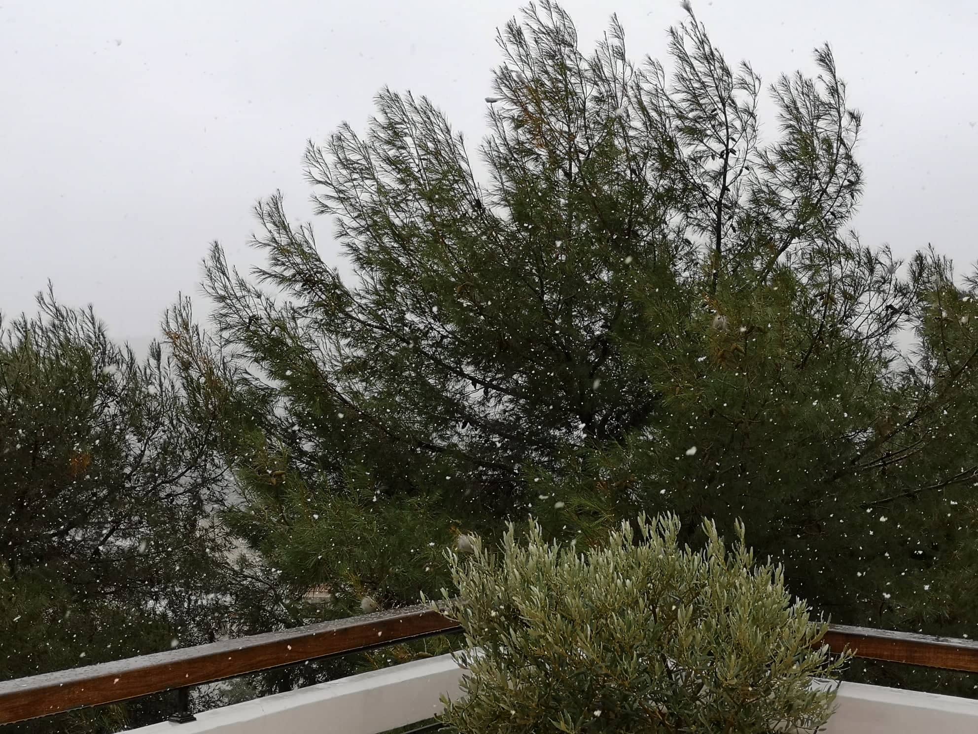 Το Χαϊδάρι αποχαιρετά με χιόνι το '19 4 Το Χαϊδάρι αποχαιρετά με χιόνι το '19 3