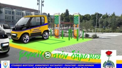 Κίνητρα για την αγορά ηλεκτρικών αυτοκινήτων - Ο ρόλος των Δήμων 23