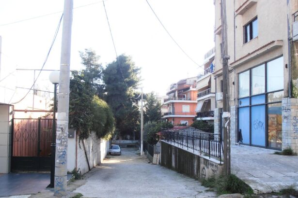 Το πόρισμα της νεκροψίας για τον Δημήτρη - Κοντά η εξιχνίαση του εγκλήματος 29