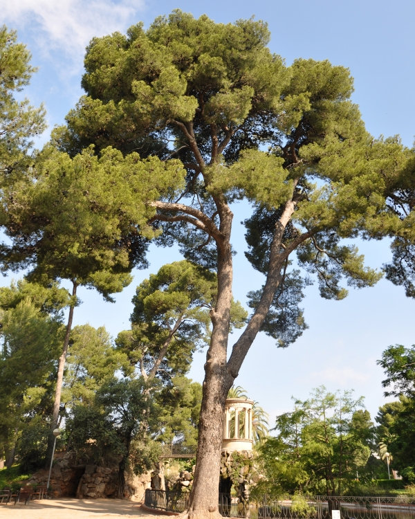 Το "πράσινο της πόλης" στο Δημοτικό Συμβούλιο Χαϊδαρίου 3