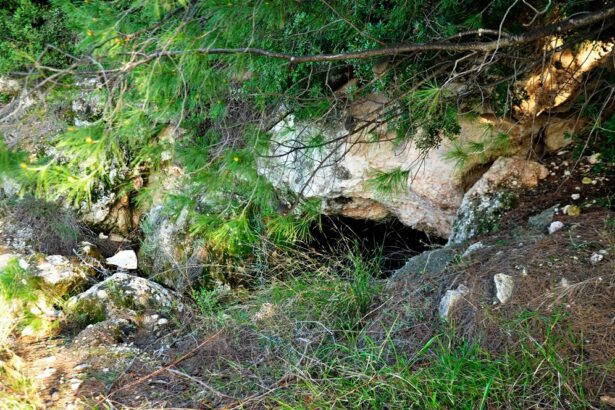 Σπήλαιο Ζαστάνι - Η μοναδική φυσική πηγή στο Ποικίλο όρος 17