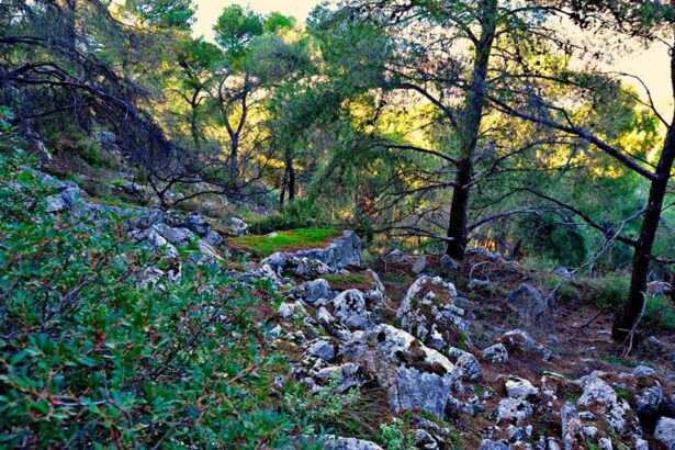 Όρος Αιγάλεω, 3.000.000 χρόνια πριν... 37