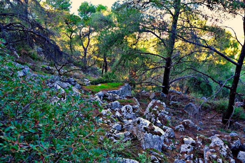 Όρος Αιγάλεω, 3.000.000 χρόνια πριν... 1