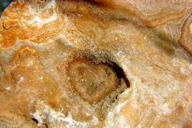 Μια κρυστάλλινη καρδιά από το Ποικίλο 19