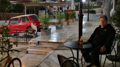 Πλατεία Δάσους: Ο Άρης, ο γάτος και η σιωπή 37