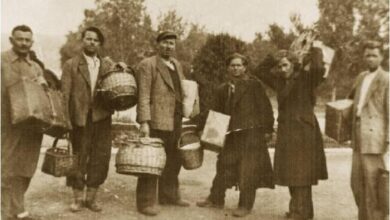 Ο παππούς μου ο λαθρομετανάστης 9