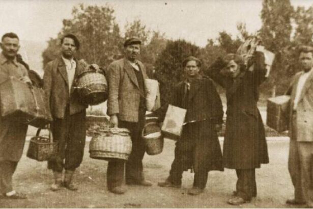 Ο παππούς μου ο λαθρομετανάστης 25