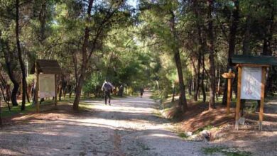 "Πού είναι το κακό να περπατάμε μέσα στο Άλσος;" 6