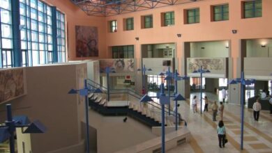 Αττικόν: "Ο candida auris έχει στοιχίσει τη ζωή σε πολλούς ασθενείς" 17