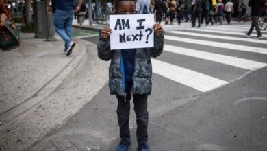 Η αμερικανική αρρώστια 25