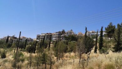 Πάρκο Άνω Δάσους Χαϊδαρίου - Έργο ενός ξεσηκωμού 15