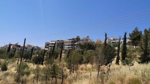 Πάρκο Άνω Δάσους Χαϊδαρίου - Έργο ενός ξεσηκωμού 39