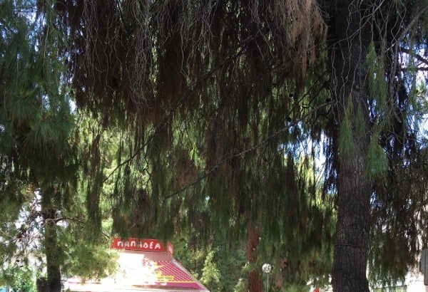 Δεν με σέβεσαι; Δεν κάθομαι για καφέ! 7