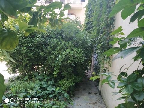 "Άσπρα καράβια τα όνειρά μας", στα λύματα της αποχέτευσης... 2 "Άσπρα καράβια τα όνειρά μας", στα λύματα της αποχέτευσης... 1
