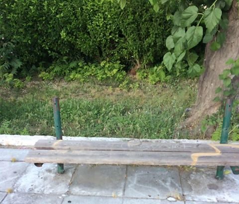 Η πλατεία της Παναγίτσας χρειάζεται κι αυτή φροντίδα 3