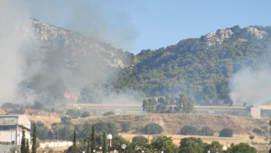 Φωτιά στο Ποικίλο απείλησε το πιο όμορφο δάσος του 25