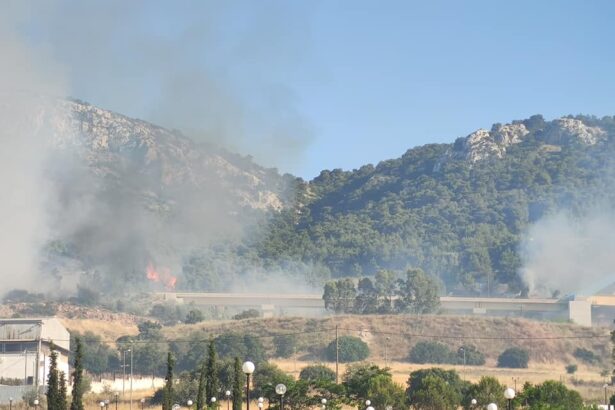Φωτιά στο Ποικίλο απείλησε το πιο όμορφο δάσος του 17