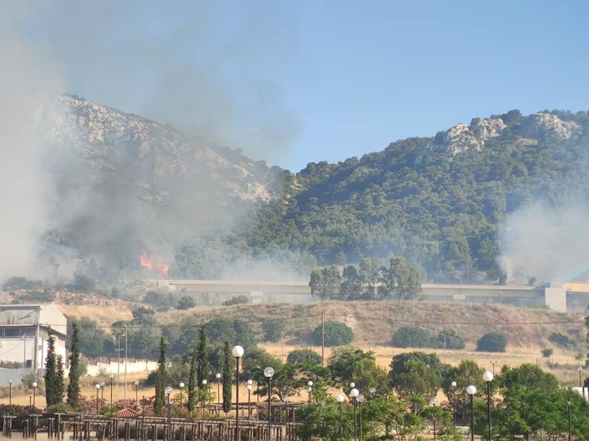 Φωτιά στο Ποικίλο απείλησε το πιο όμορφο δάσος του 2 Φωτιά στο Ποικίλο απείλησε το πιο όμορφο δάσος του 1