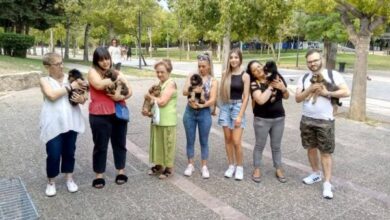 «Οι άγγελοι των δρόμων» εν δράσει 1