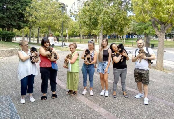 «Οι άγγελοι των δρόμων» εν δράσει 39