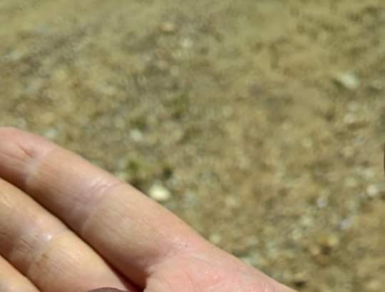 Δείγματα προϊστορικής παρουσίας ανθρώπου στο Ποικίλο 11