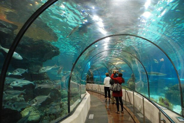 Mega Aquarium και αναπτυξιακό boom στον Σκαραμαγκά 15