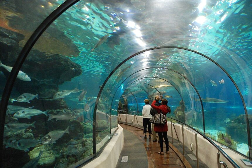 Mega Aquarium και αναπτυξιακό boom στον Σκαραμαγκά 1