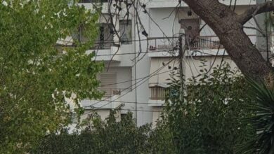 Αυτό το πεύκο μόνο εμένα τρομάζει; 51