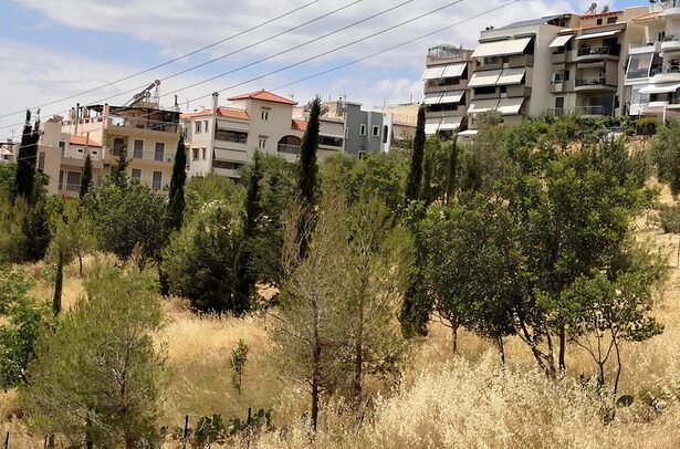 Μια καλή "πράσινη ιδέα" για τη δημοτική αρχή Χαϊδαρίου 15