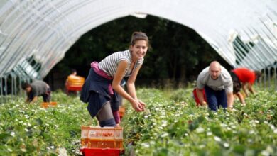 Οι 900.000 «αόρατοι» εργάτες της διατροφής μας 7