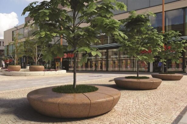 Αν είχαν ρωτήσει τους πολίτες, τι θα είχαν διαλέξει; 7