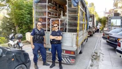 Επιχείρηση του ΑΤ Χαϊδαρίου στο παζάρι Σχιστού 29