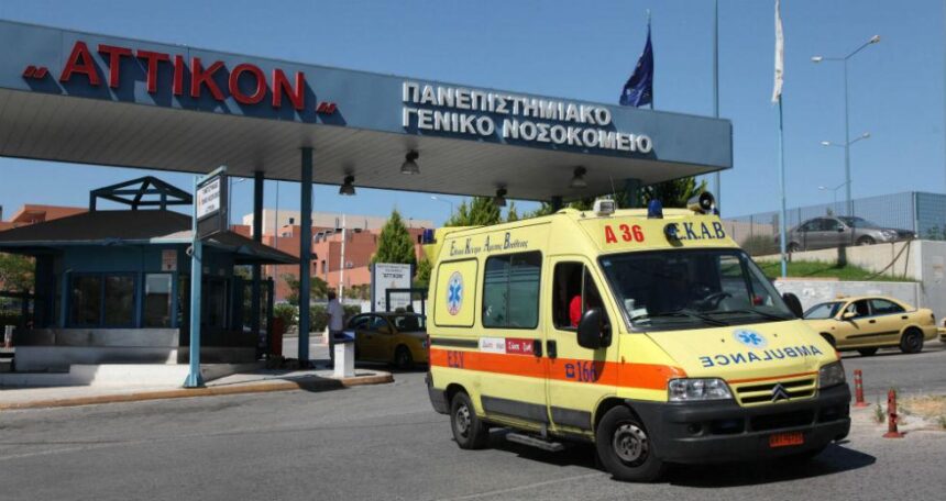 Μαχαιριές στο Δάσος 1